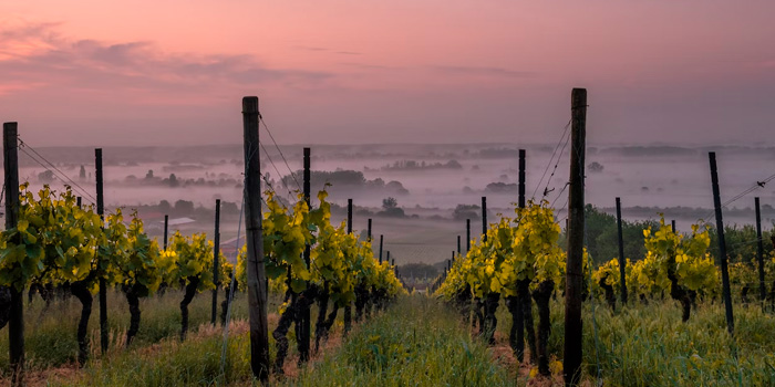 Cavan ja proseccon tuotantoalue