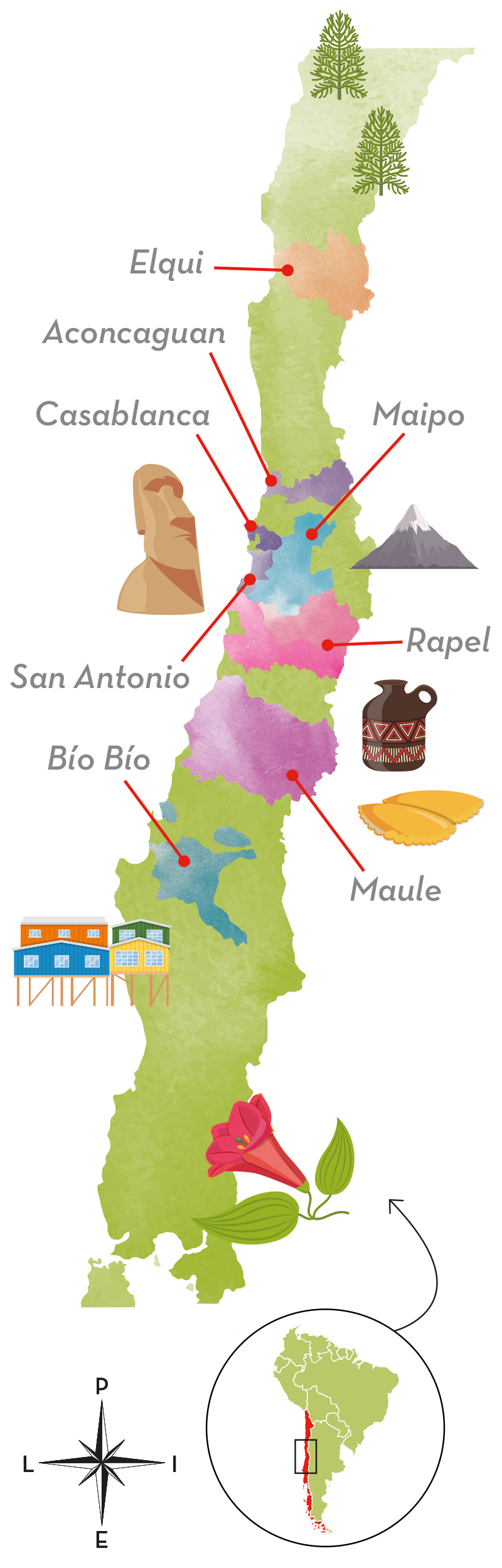 Chilen viinialueet esittelyssä